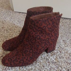 Gorgeous Loft leopard booties size 9.5